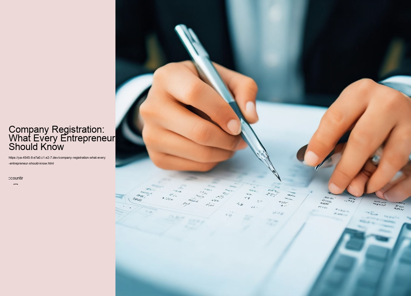 Company Registration: What Every Entrepreneur Should Know